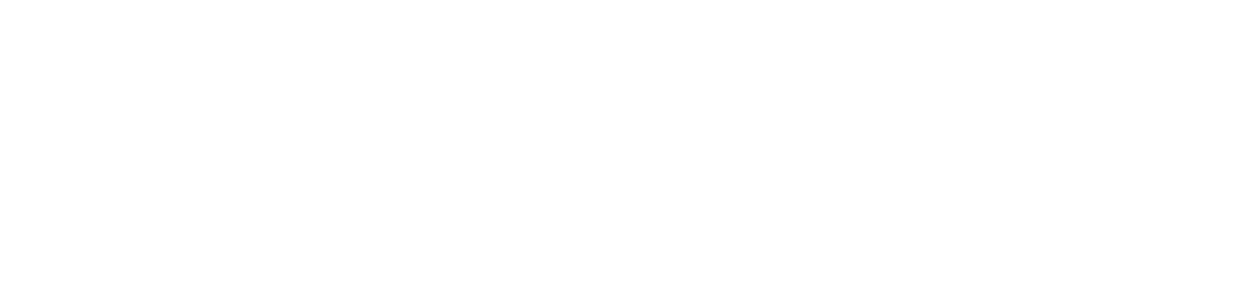 Mendenhall Automotive
